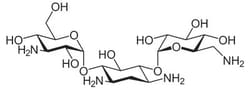 G-Biosciences KANAMYCIN USP GRADE, 5GRAM , Quantity: Each of 1