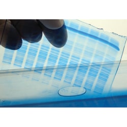 G-Biosciences LABSAFE GEL BLUE , 1L, Quantity: Each of 1