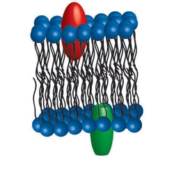 G-Biosciences FATTY ACIDS, LIPIDS AND MEMBRANES, FOR 6 GROUPS OF 4-5 OR