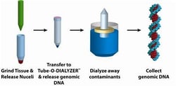 G-Biosciences MEGALONG , 25 PREPS, Quantity: Each of 1