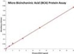G-Biosciences COPPER SOLUTION (BCA REAGENT B), 25ML , Quantity: Each of