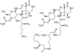 G-Biosciences NOURSEOTHRICIN SULFATE, 1GRAM, Quantity: Each of 1