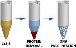 G-Biosciences OMNIPREP , 150 PREPS, Quantity: Each of 1