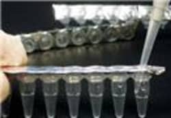 G-Biosciences ProteaseArrest [100X], 10ml, Quantity: Each of 1