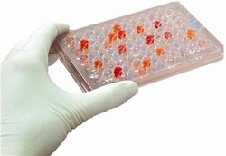 G-Biosciences PROTEASE ASSAY KIT, 50 ASSAYS, Quantity: Each of 1