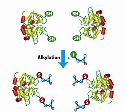 G-Biosciences IODOACETAMIDE, 5GRAM, Quantity: Each of 1