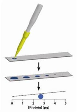 G-Biosciences Protein dotMETRIC Kit with Spot Application Device, 300 Assays,