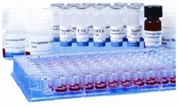 G-Biosciences PROTESEEKER , 50 ASSAYS, Quantity: Each of 1