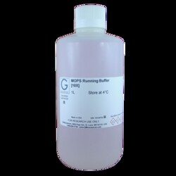 G-Biosciences MOPS RUNNING BUFFER [10X] (200MM MOPS (PH 7.0), 80MM SODIUM
