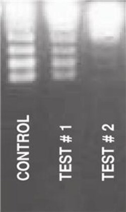 G-Biosciences RNASE-DETECT , 56 TESTS, Quantity: Each of 1