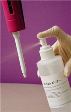 G-Biosciences RNASEOUT , 250ML SPRAY, Quantity: Each of 1
