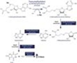 G-Biosciences SAM510 : SAM METHYLTRANSFERASE ASSAY, 100 ASSAYS, Quantity: