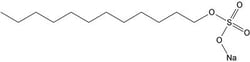 G-Biosciences SDS [10%], 100ML, Quantity: Each of 1