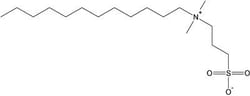 G-Biosciences SULFOBETAINE 3-12 (SB3-12) (N-DODECYL-N,N-DIMETHYL-3-AMMONIO-1-PROPANESULFONATE),