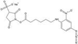 G-Biosciences SULFO SANPAH (SULFOSUCCINIMIDYL 6-(4'-AZIDO-2'-NITROPHENYLAMINO)