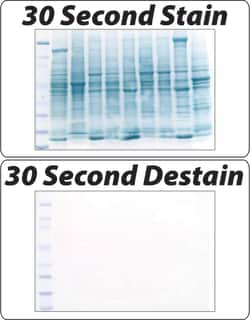 G-Biosciences SWIFT MEMBRANE STAIN , FOR 20 BLOTS, Quantity: Each of 1