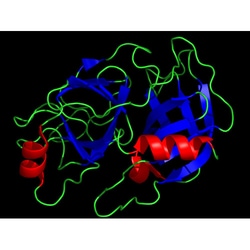 G-Biosciences TRYPSIN (BOVINE), MASS SPECTROMETRY GRADE, 5 X 20µG, Quantity: