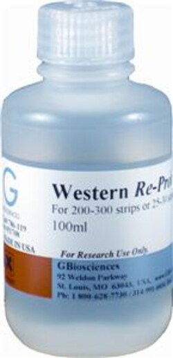 G-Biosciences WESTERN REPROBE [5X], 100ML, Quantity: Each of 1
