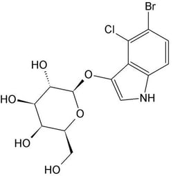 G-Biosciences X-GAL; 5-BROMO-4-CHLORO-3-INDOXYL-BETA-D-GALACTOPYRANOSIDE,