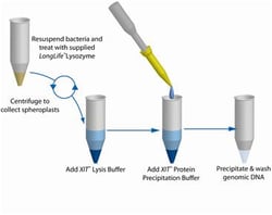 G-Biosciences XIT GENOMIC DNA FROM GRAM POSITIVE BACTERIA, FOR 25ML CULTURE,