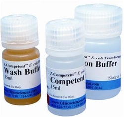 G-Biosciences Z-COMPETENT E.COLI TRANSFORMATION, 300 PREPS, Quantity: Each