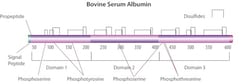 Sigma Aldrich Fine Chemicals Biosciences Bovine serum albumin | 9048-46-8 | MFCD00130384 | 5 g