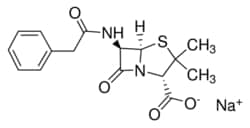 Sigma Aldrich Fine Chemicals Biosciences Penicillin G sodium salt | 69-57-8