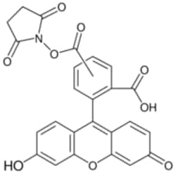 Sigma Aldrich Fine Chemicals Biosciences 5(6)-Carboxyfluorescein N-hydroxysuccinimide