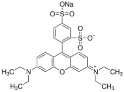 Sigma Aldrich Fine Chemicals Biosciences Sulforhodamine B, Dye content