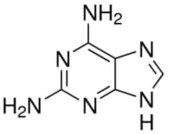 Sigma Aldrich Fine Chemicals Biosciences 2,6-Diaminopurine | 1904-98-9 | MFCD00071537 | 1 g