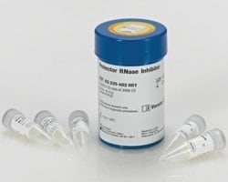 Sigma Aldrich Fine Chemicals Biosciences Protector RNase Inhibitor | 2000