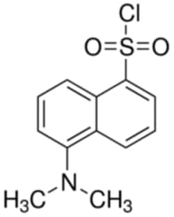 Sigma Aldrich Fine Chemicals Biosciences Dansyl chloride BioReagent, suitable