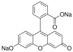 Sigma Aldrich Fine Chemicals Biosciences Fluorescein sodium salt BioReagent,