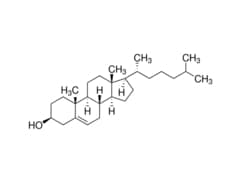 Sigma Aldrich Fine Chemicals Biosciences&nbsp;Cholesterol | 57-88-5 | MFCD00003646 | 2g