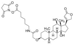 Sigma Aldrich Fine Chemicals Biosciences Digoxigenin NHS-ester | 129273-26-3 | MFCD02093394 | 1mg