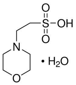 Sigma Aldrich Fine Chemicals Biosciences&nbsp;MES monohydrate | 145224-94-8 | MFCD00149409 | 500g