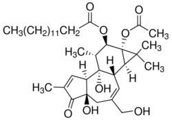 Sigma Aldrich Fine Chemicals Biosciences&nbsp;Phorbol 12-myristate 13-acetate | 16561-29-8 | MFCD00036736 | 5 mg