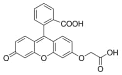 Sigma Aldrich Fine Chemicals Biosciences Fluorescein-O′-acetic acid, BioReagent,