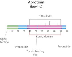 Sigma Aldrich Fine Chemicals Biosciences Aprotinin from bovine lung lyophilized