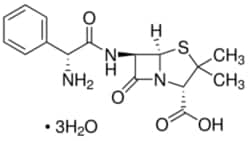 Sigma Aldrich Fine Chemicals Biosciences&nbsp;Ampicillin | 7177-48-2 | MFCD00072036 | 25g