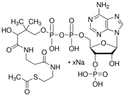 Sigma Aldrich Fine Chemicals Biosciences&nbsp;Acetyl coenzyme A sodium salt | 102029-73-2 | MFCD00078858 | 10mg