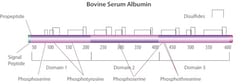 Sigma Aldrich Fine Chemicals Biosciences Bovine Serum Albumin lyophilized