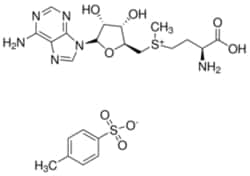 Sigma Aldrich Fine Chemicals Biosciences S-(5′-Adenosyl)-L-methionine p-toluenesulfonate