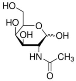 Sigma Aldrich Fine Chemicals Biosciences N-Acetyl-D-galactosamine | 1811-31-0 | MFCD00065372 | 5g