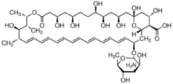 Sigma Aldrich Fine Chemicals Biosciences Amphotericin B solution 250 μg/mL