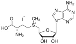 Sigma Aldrich Fine Chemicals Biosciences S-(5′-Adenosyl)-L-methionine iodide