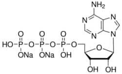 Sigma Aldrich Fine Chemicals Biosciences Adenosine 5′-triphosphate disodium salt solution Crystalline ATP, HPLC purified, aqueous solution for RNA transcription | 987-65-5 | MFCD00080339 | 25umo