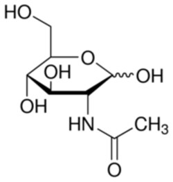 Sigma Aldrich Fine Chemicals Biosciences N-Acetyl-D-glucosamine | 7512-17-6