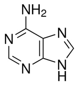Sigma Aldrich Fine Chemicals Biosciences Adenine | 73-24-5 | MFCD00041790 | 1g