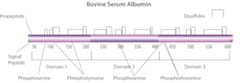 Sigma Aldrich Fine Chemicals Biosciences Bovine Serum Albumin, 9048-46-8,